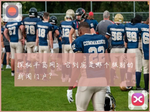 探秘半岛网:它到底是哪个级别的新闻门户?