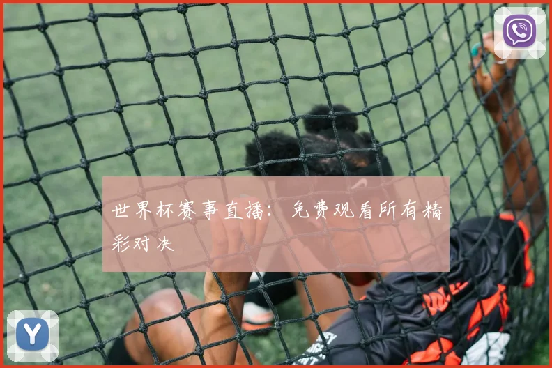 世界杯赛事直播:免费观看所有精彩对决